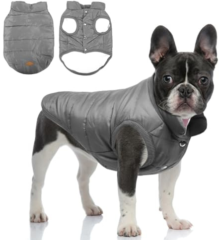 meioro Abrigo de Invierno para Perros Chaqueta de Perro Cálida, Ropa para Mascotas Abrigos a Prueba de Viento para Cachorros, Chaleco Suave para Tiempo Frío para Perros Pequeños y Medianos Gato (XL)