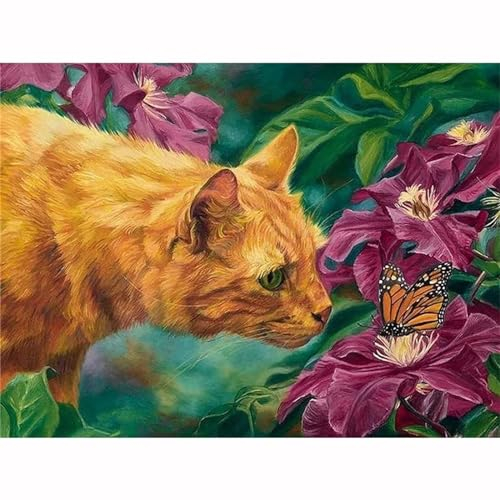 Rote Blumen Katze Malen nach Zahlen Erwachsene,DIY Handgemalt Ölgemälde Leinwand Kits für Kinder Anfänger mit Pinseln und Acrylpigment Kunstbild Heimdekoration Geschenk 50x65cm,(mit rahmen)