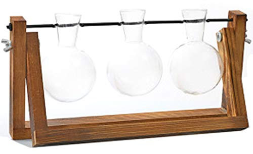 Koanhinn Vaso da scrivania in vetro a cipolla vaso aria terrario con per piante talee decorazione ufficio