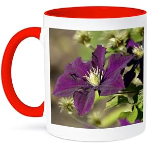 3dRose Garden Flowers - Purple Clematis - Inspired Floral Print 15oz Two-Tone Red Mug