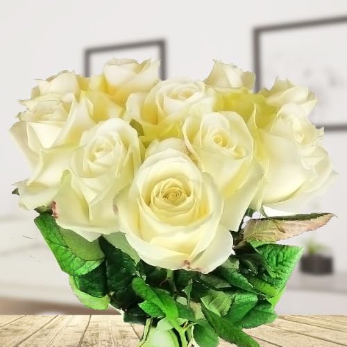 10 langstielige weiße Rosen | Frische weiße Rosen, inklusive Grußkarte