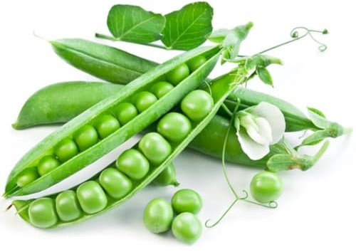 kiskick 300 Stück Zuckerschotensamen, köstliches Gemüse, Hausgarten, Hinterhof, Dachpflanze, Gartenpflanzen für Gartenränder, Terrassentöpfe und Fenster Erbsensamen