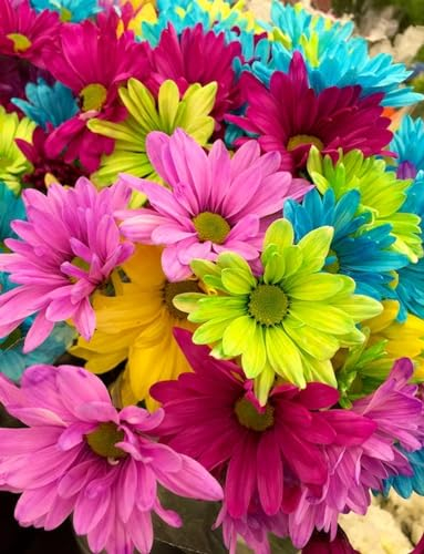 Buntes Gänseblümchen – 3000-teiliges Holzpuzzle – Geschicklichkeitsspiel für die ganze Familie, Rätsel für Erwachsene ab 14 Jahren