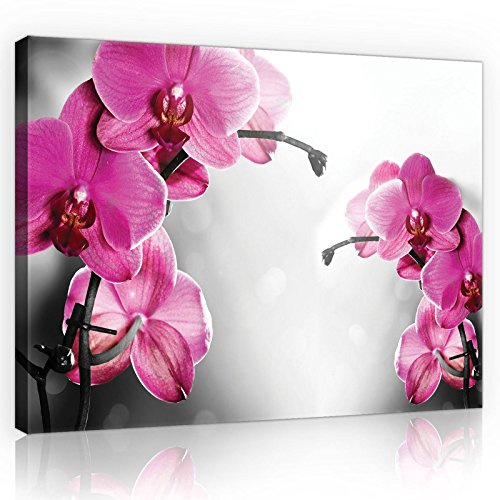 Forwall Leinwand Bilder - Orchidee Blumen 3D Abstrakt - 60x40 cm | Leinwandbilder, Bild auf leinwand, Wandbild XXL groß Wandbilder für Wohnzimmer Schlafzimmer Wohnzimmerbilder