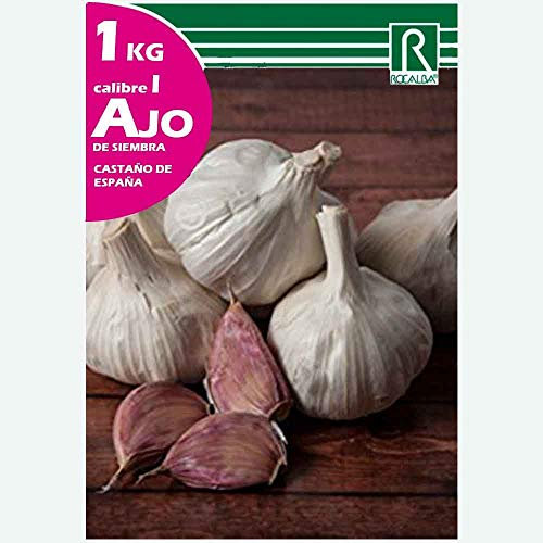 AJO DE SIEMBRA MORADO DE ESPAÑA BIO - MALLA 1KG