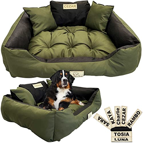 EDANTI Hundebett Hundekissen Katzenbett Personalisiert Hundesofa mit Namen L - XL für große mittelgroße & kleine Hunde (100x75, Grün)