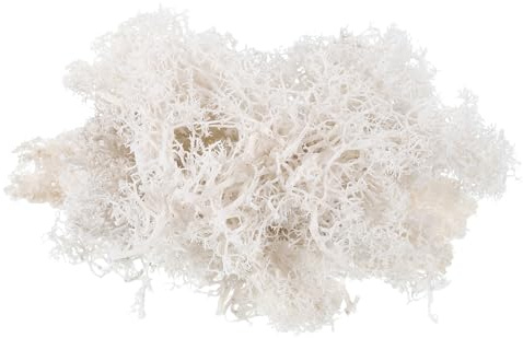 PATIKIL 3.5 OZ Fake Moss, Preserved Reindeer Moss Artificial Moss Lichen Centerpieces Decor Faux Moss for Potted Plants Christmas Craft, White