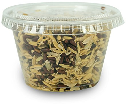 Josh's Frogs House Fly Pupae (50 Count)