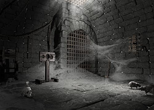 BELECO 2.1x1.5m Stoff Mittelalterliches Verlies Folterkammer Hintergrund Dunkler Backsteinkeller Horror Interieur Ratten Schädel Spinnennetz Alte Gefängniszelle Halloween