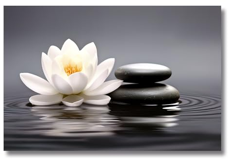 ZXHYWYM Zen Bilder weiße Lotus Bilder Seerose Steinwasser Leinwanddrucke Spa Kunstwerk Stillleben Meditation Yoga Wanddekoration für Badezimmer(Bild, (30.00 x 45.00 cms))