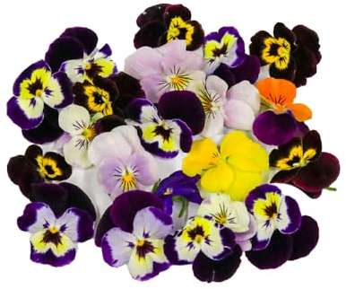 Fine Food Specialist Viola Flowers, Edible, 1 x Punnet