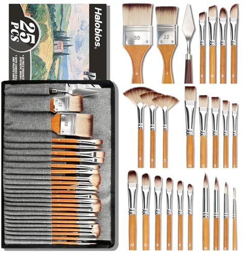 Halobios 25-teiliges Pinselset, professionelle Pinsel mit Leinwandrolle, Aquarell-, Öl- und Gouache-Pinselkit für Künstler