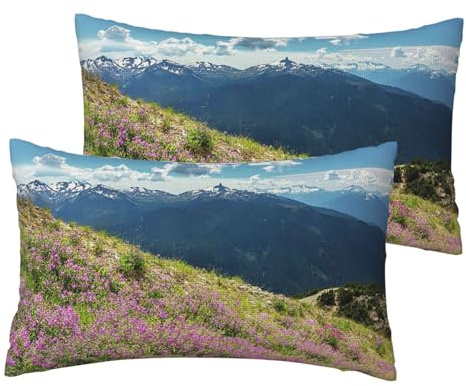 ESNAIUVCD Federa per cuscino rettangolare con stampa di montagne, federa per cuscino traspirante per hotel, casa, letto, decorazione (2 pezzi)