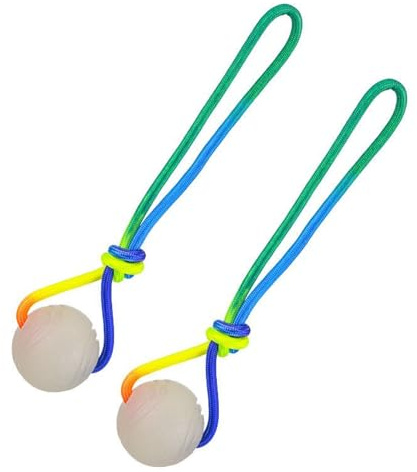 Palline per cani per masticatori forti – 2 pezzi giocattoli luminosi per la cura dei denti, con manico, palla interattiva, per cuccioli di piccole dimensioni e grandi razze, per interni ed esterni
