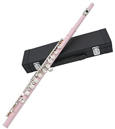 16-Loch Flöte C-Taste Farbe Flöte Vernickelte Geschlossene Klappe Plus E-Taste Anfänger Professionelle Leistung Querflöte Anfänger (Color : Pink)