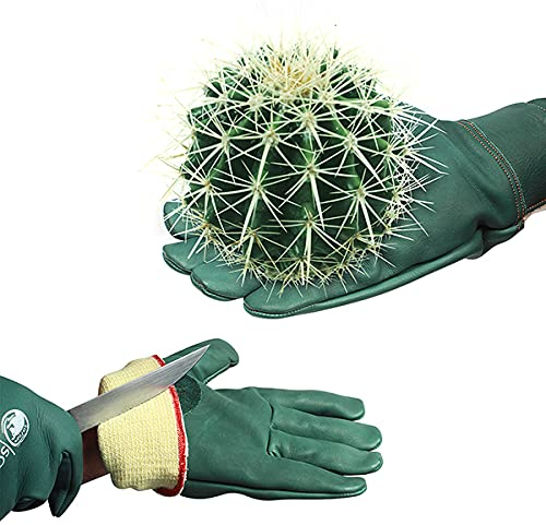 SAFTA Cut Resistant Gloves, Kevlar lining gloves Level 5 Protection, Thorn proof Gardening Gloves, Stab Proof Gloves for Handling Sharp Objects in Butcher | Mechanic | Industrial Work.(One Pair,M)