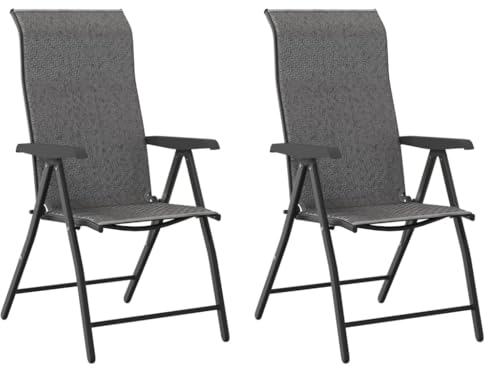 vidaXL Gartenstühle 2 STK., Gartenstuhl Hochlehner Klappbar, Klappstuhl Verstellbar, Stuhl Balkonstuhl Terrassenstuhl, Grau Poly Rattan