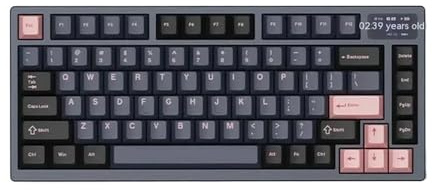 XXINGYULI Tastiera meccanica wireless a 3 modalità V75pro con copertura in alluminio Schermo a colori TFT Hot Swap Gaming e tastiera da ufficio compatibile come regalo(PINK INK)