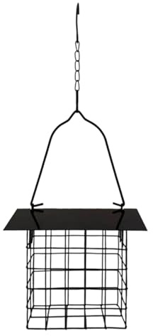 Mangiatoia per uccelli da esterno, gabbia di alimentazione in metallo resistente alle intemperie, 15 x 13 x 5,5 cm, vassoio per cibo per uccelli, stazione di alimentazione per colibrì, gabbia