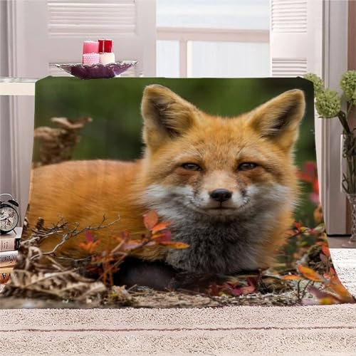 Kuscheldecke 80 x 150 cm 3D Fuchs Decke Flanell Fleecedecke Weich Warm Flauschig kuscheldecken Fuchs Wohndecke Decken für Sofadecke Couchdecke, Kinder Erwachsene J321