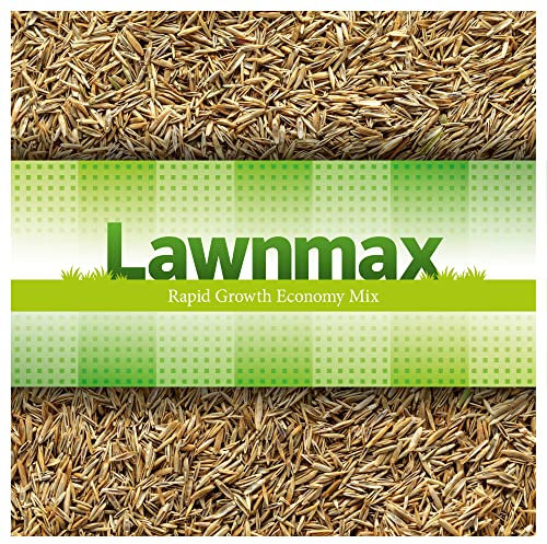 Lawnmax – Grass Seeds Fast Growing, Rapid Growth Economy Mix for Hard Wearing, Shady Grass, New Lawns and Patch Repair (500g)