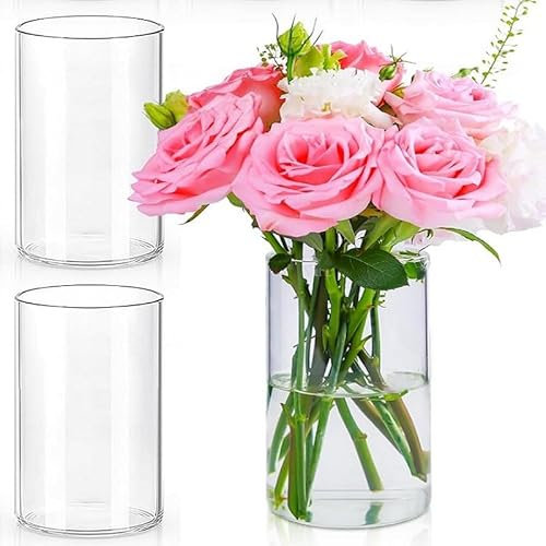 LDXDRU 3er Set Glasvasen 15cm Hohe Glasvase Zylinder, Glaszylinder für Kerzen Windlicht Glas, Blumenvase Glas, Kerzengläser Glaszylinder mit Boden für Kerzen, Blumen, Kieselsteine Muscheln Dekor