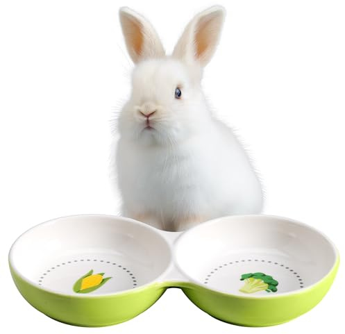 Navaris 2X Fressnapf für Kätzchen Meerschweinchen Hasen - Doppelter Futternapf kleine Katze Keramik - Fressnäpfe für kleine Tiere - Hamster Futternapf Keramik - Kleintier Napf