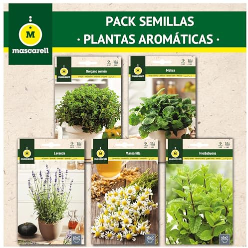 Mascarell Semillas, PACK SEMILLAS PLANTAS AROMÁTICAS, Kit Huerto en Casa. Fácil de Cultivar, Contiene Hierbabuena, Manzanilla, Lavanda, Melisa y Orégano.