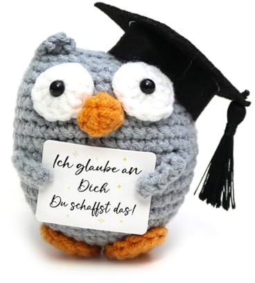 Abschluss Geschenk Gestrickte Eule Puppe,Glücksbringer Prüfung | Eule Pocket Hug Bestandene Prüfung Geschenk,Ich glaube an Dich,Du schaffst das!Positive Deutsch