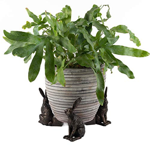 Potty Feet Large Sitting Hare Figures Plant Pot Feet - Planter Support - Handmade Decorative Ornaments - 3pcs