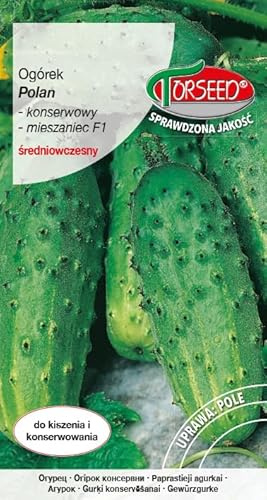 Verdica Polan F1 Gurkensamen Cucumis sativus – Mittelfrühe Sorte, Hoher Ertrag, Ideal zum Einlegen und Frischverzehr, Krankheitsresistent, Einfach zu Züchten (3 Gramm)
