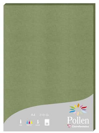 Clairefontaine 24270C 25 Blatt Briefpapier Pollen A4 210g Salbei