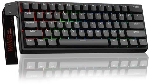 AULA WIN60 HE Mechanical Gaming Keyboard Wired,Hall Effect Magnetic Switches,Adjustable Actuation Rapid Trigger,8K Polling Rate,RGB Backlight,60% Percent Keyboard for Mac/Win (BLACK)