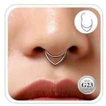 G23 Titane Piercing Septum Nez Anneaux Argent Daith Anneau Bijoux 16G 8MM