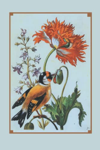 Vintage Goldfinch with Poppy & Bellflower Illustration Floral Botany Gardening Ornithology Blank Notebook Journal Lined
