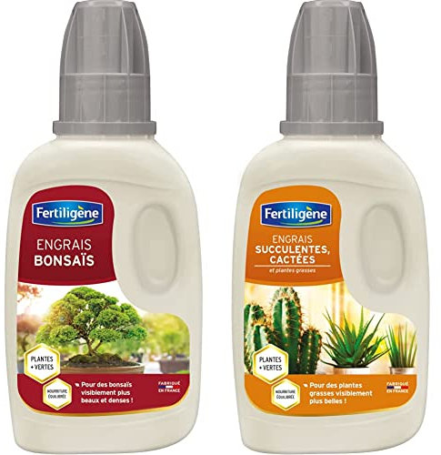 Fertiligène Engrais Bonsaï, 250 ML & Engrais Cactus et Succulentes, 250 ML