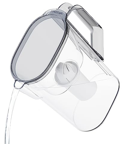 Wessper Jarra de filtro de agua con cartucho de filtro de 2,7 litros, se adapta a través de la puerta del frigorífico, sin BPA, jarra de agua con filtro, compatible con filtros Brita Classic, color
