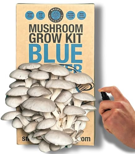 Smart Mushrooms Growing kit Blue Oyster XL - Harvest in 14 days - Growth Guaranteed - Ideal Mushroom Gifts Foodie/Gardening Fun, Easy & Delicious | Grow Your Own Oyster Mushrooms