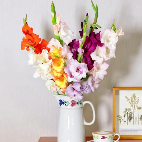 gladiolen zwiebeln winterhart mehrjährig - blumen pflanzen, gartenblumen blumen winterhart, herbstpflanzen winterhart blühend frühlingsblüher zwiebeln, seltene pflanze geschenke für 2pcs