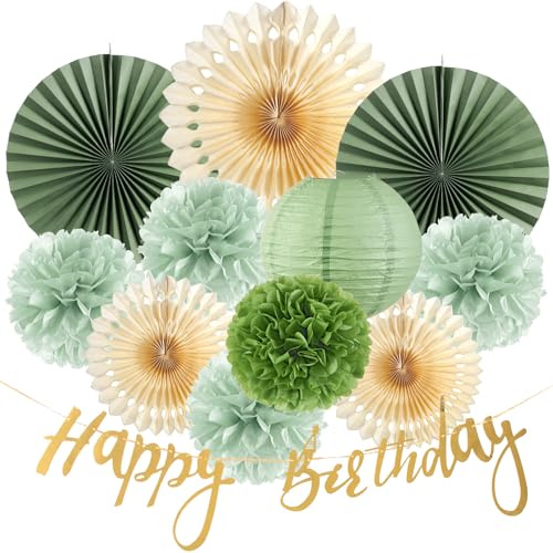 SUNBEAUTY Set di Scomparti Verde Salvia per Compleanno, Decorazione con Carta Velina, Pom Poms, Vassoi, Lanterna per Feste in Giardino, Baby