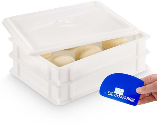 DIE BOX FABRIK 2x Pizzaballenbox Gusto + 1 Deckel, 40x30x7 cm | Gärbox, Teigwanne für Pizzateig. Teigbox für 6 Pizzaballen, Pizzateigbehälter (2x Gusto Box + 1x Deckel)