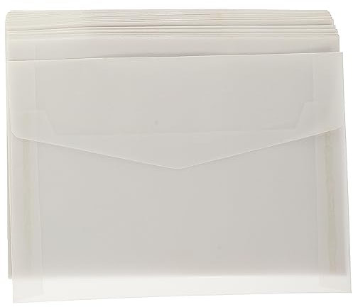 Veemoon 60pièces Enveloppe Transparente pour Liquide Pochette Délicate pour Budget Fournitures de Bricolage