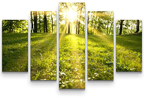 Leinwandbilder | Bilder Leinwand 160x100cm Frühlingserwachen im Wald