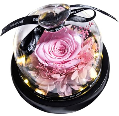 Preserved Real Rose with LED Light Eternal Flowers Rose for Mom Grandma Wife On Mothers Day Birthday Valentines Christmas and Thanksgiving.Preserved Roses in Box Large Garden Gnomes (Pink, One Size)