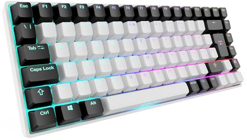 Sharkoon Gaming-Tastatur SKILLER SGK50 S3