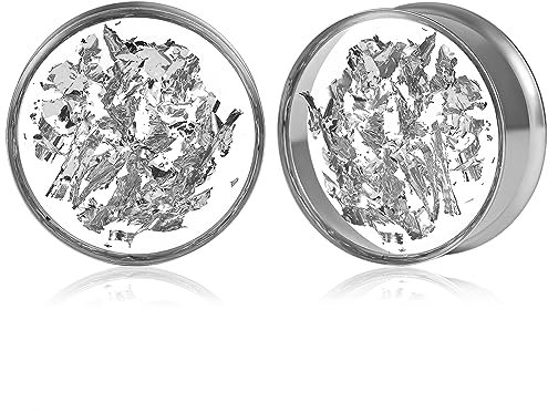 DOEARKO Ear Tunnels Ear Stretchers 1 Pair Stainless Steel Gold-foil Ear Gauges Expander Stretcher Body Piercing Jewelry for Men Women (Silver, 16mm)