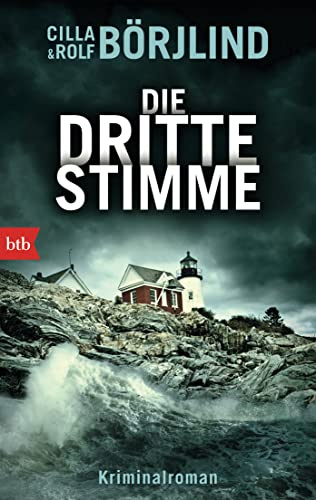 Die dritte Stimme: Kriminalroman: 2