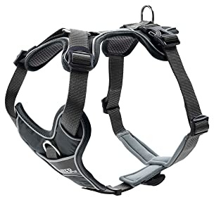 HUNTER Divo Hundegeschirr | Nylon, ergonomisch geformt, 5-Fach verstellbar, mit angenehmer Polsterung, Farbe: Grau/Grau, Größe: M