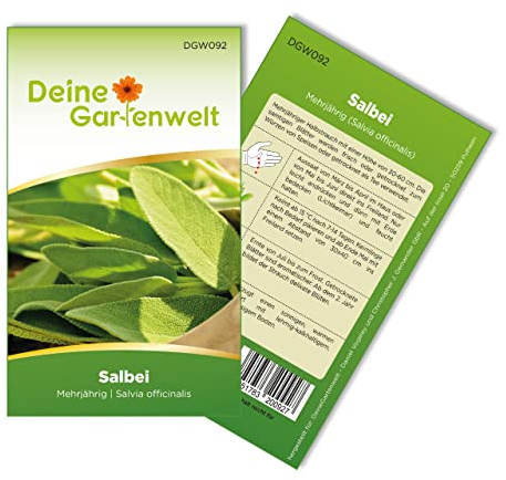 Salbei Samen - Salvia officinalis - Salbeisamen - Kräutersamen - Saatgut für 40 Pflanzen