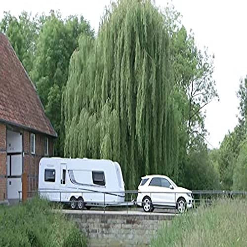 Bumper Protector (Shield for Flange Towbar) - Witter Towbars Z47A